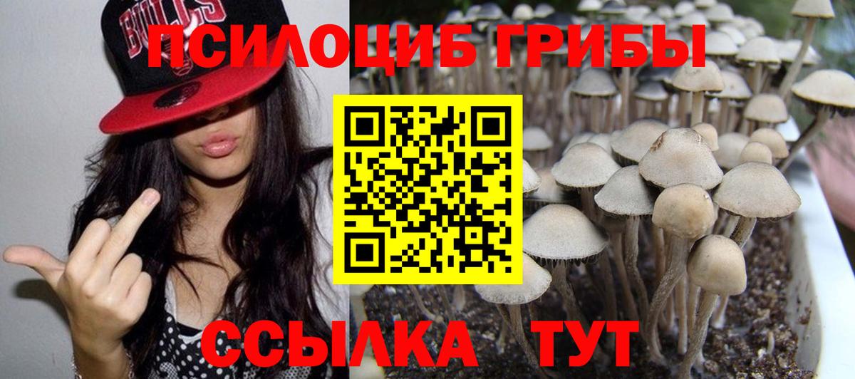 Псилоцибиновые грибы Cubensis  Вход с VPN  Курчалой  Галлюциногенные грибы Magic Shrooms 